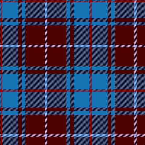 DRa/8 B52 DR12 B12 DR64 LP/8 tartan Tartan detail