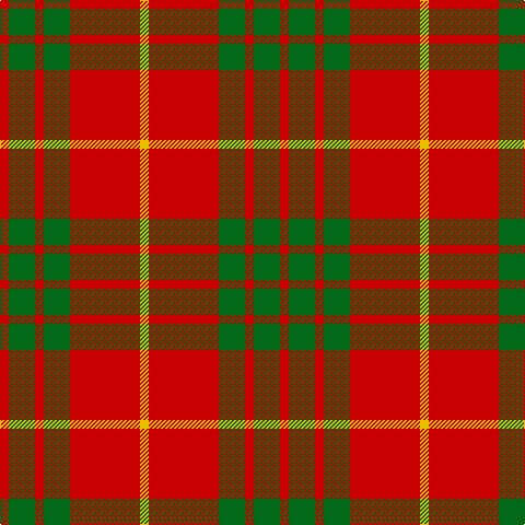 R/8 G24 R8 G24 R64 Y/8 tartan Tartan detail
