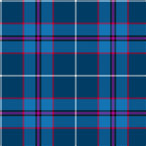Tartan detail