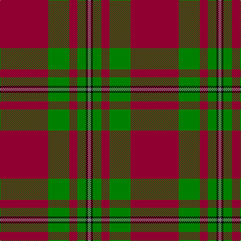 DR/96 G42 DR16 G17 K4 N/6 tartan Tartan detail