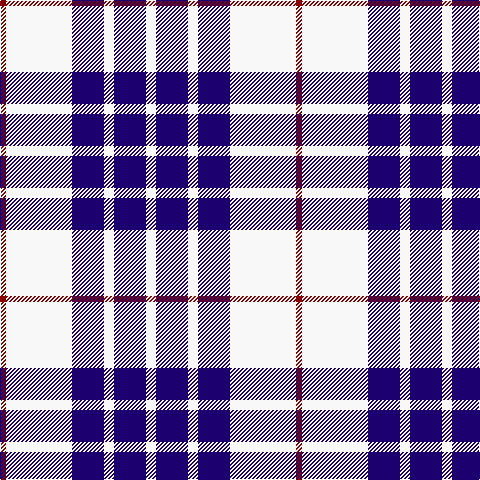 DR/6 W66 DB32 W10 DB32 W/10 tartan Tartan detail