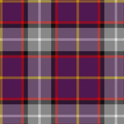 DY/10 DP72 R10 K16 N40 LN/10 tartan Tartan detail