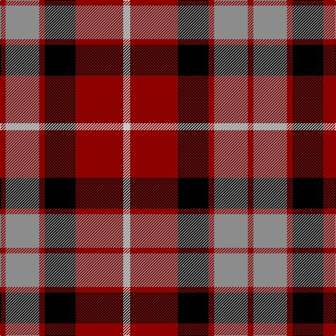 DR/8 N48 DR8 K44 DR68 Na/10 tartan Tartan detail