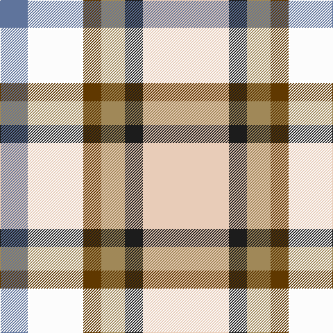 B/40 W80 T26 LT34 K26 LR/124 tartan Tartan detail