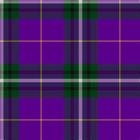 N/12 DG16 K12 DG24 P75 Y/4 tartan Tartan detail