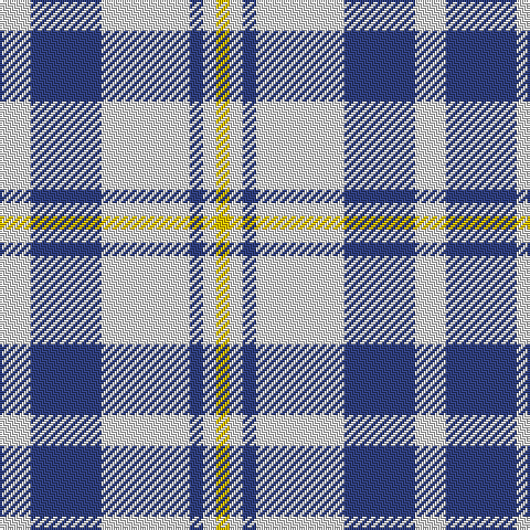 LN/14 B32 LN40 B6 LN6 Y/6 tartan Tartan detail