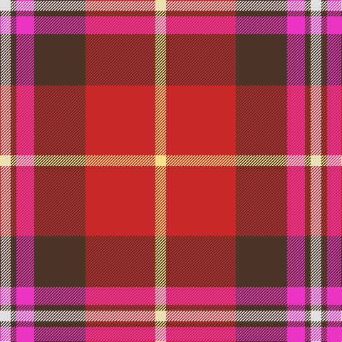 LN/15 T8 LR25 T72 R98 LY/15 tartan Tartan detail