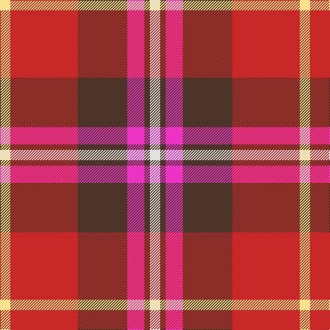 LY/15 R98 T72 LR25 T8 LN/15 tartan Tartan detail