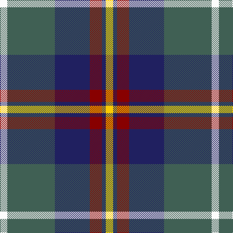 W/15 N98 DB72 DR25 DB8 Y/15 tartan Tartan detail