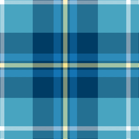 Tartan detail