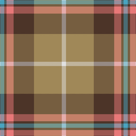 Tartan detail
