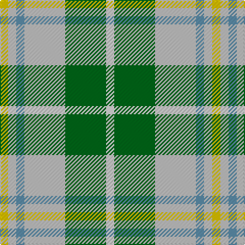 Y/8 N8 B8 N40 G40 LN/8 tartan Tartan detail