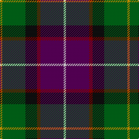 DY/4 G40 K20 DR6 P40 W/4 tartan Tartan detail