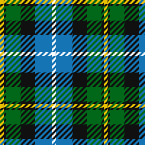 Y/12 K8 G48 K48 B56 W/12 tartan Tartan detail