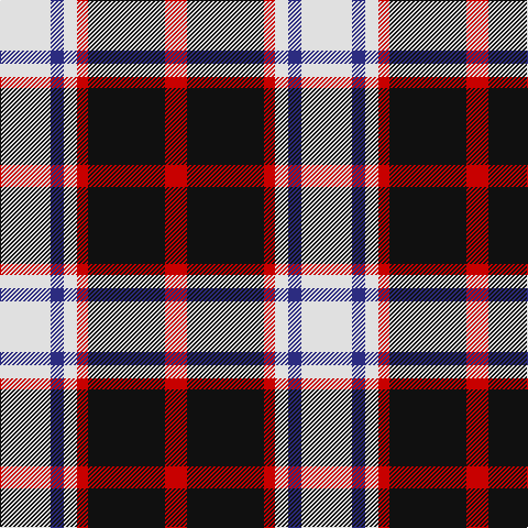 LN/46 DB12 LN12 R10 K70 R/20 tartan Tartan detail