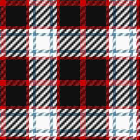 R/20 K70 R10 W12 B12 W/46 tartan Tartan detail