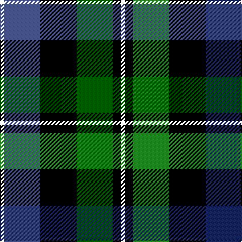 LN/4 B36 K36 G36 K8 LN/4 tartan Tartan detail
