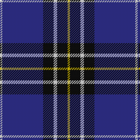 Tartan detail