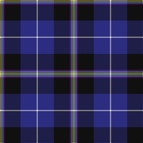 Y/4 B8 P4 K53 DB54 W/4 tartan Tartan detail