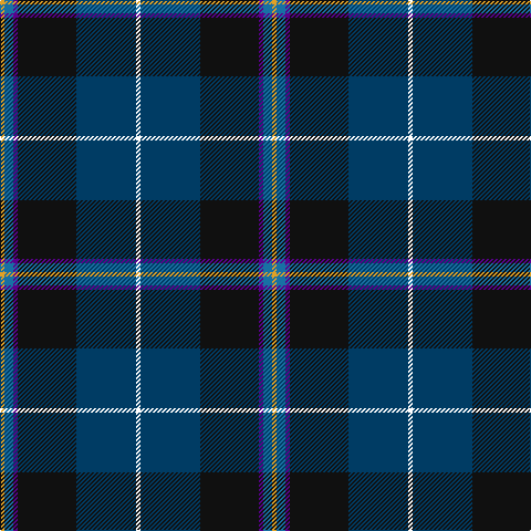 Y/4 B8 P4 K53 DB54 W/4 tartan Tartan detail