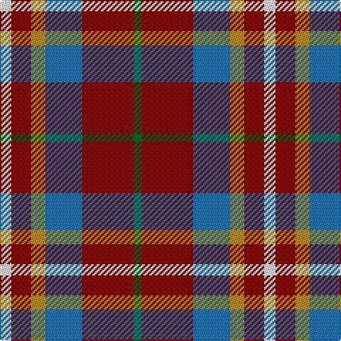 G/6 DR36 B26 DY10 DR14 W/8 tartan Tartan detail