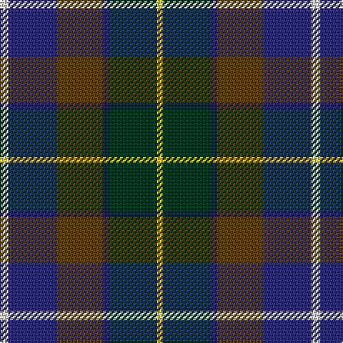 LN/6 DB34 T32 DBa4 DG34 Y/4 tartan Tartan detail