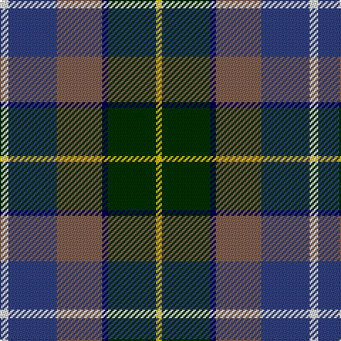 Tartan detail