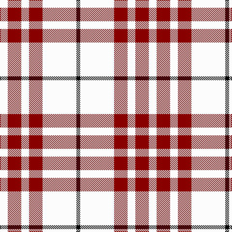 K/8 W70 DR28 W16 DR28 W/16 tartan Tartan detail