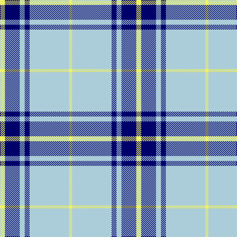 Tartan detail
