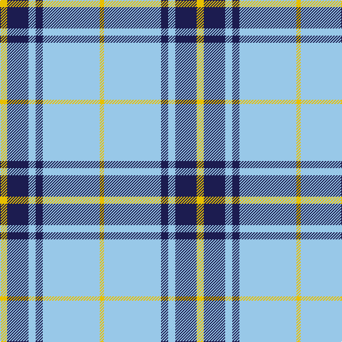 Y/10 DB30 LB10 DB10 LB80 Y/6 tartan Tartan detail