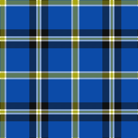 Tartan detail