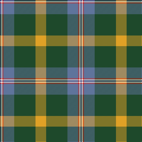 Tartan detail
