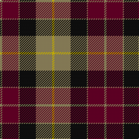 LT/4 DR28 LT2 K28 LT28 Y/4 tartan Tartan detail