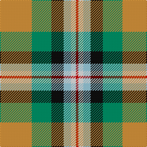 Tartan detail