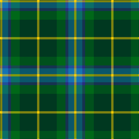 Y/8 B20 DB10 G30 DG60 Y/8 tartan Tartan detail