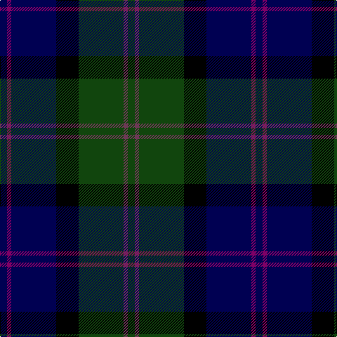 DB/10 P6 DB64 K32 DG64 N6 DG/10 tartan Tartan detail
