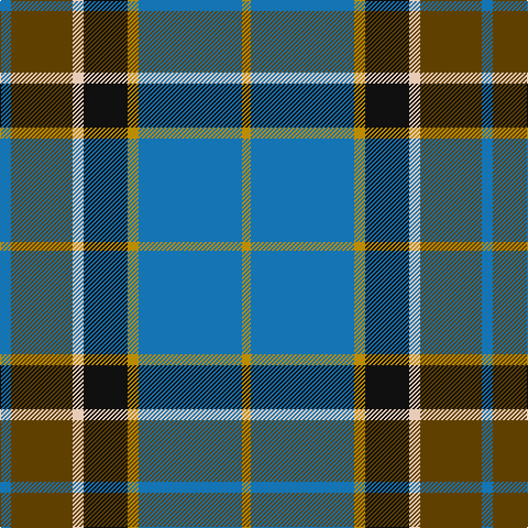 B/10 T56 LR10 K40 DY10 B94 DY/8 tartan Tartan detail