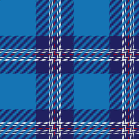 B/124 DB44 LN6 DB4 LN4 DB6 R/2 tartan Tartan detail