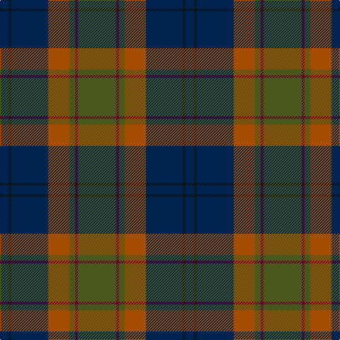 Tartan detail