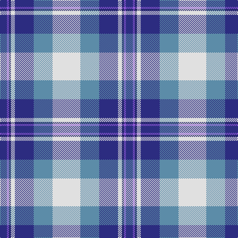 DB/14 P4 DBa4 LN8 DB38 B38 LN/56 tartan Tartan detail