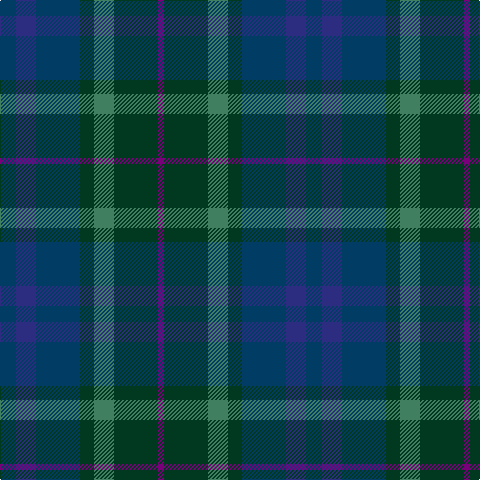 Tartan detail