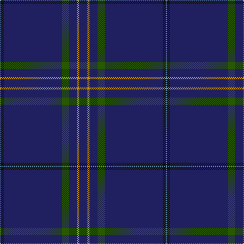 Tartan detail