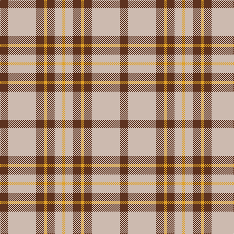 T/16 N58 T16 Y6 T16 N16 Y/6 tartan Tartan detail