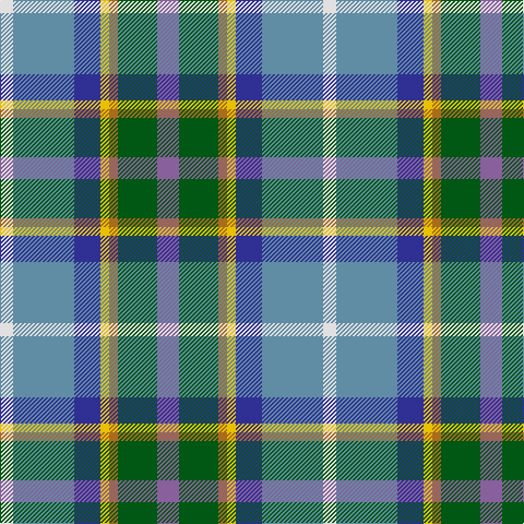 LN/12 B56 DB24 Y8 LT8 G36 LP/20 tartan Tartan detail