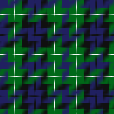DB/32 G28 W4 G28 K26 DB24 K/8 tartan Tartan detail