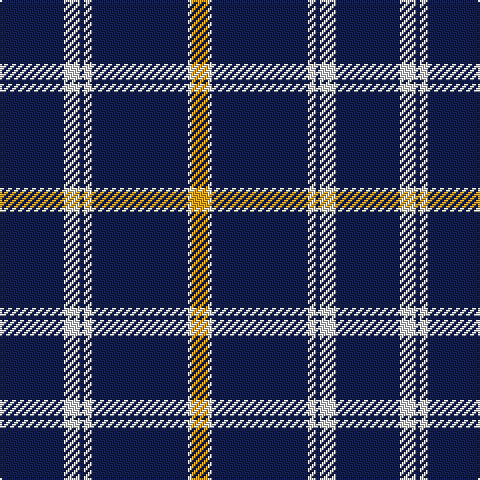 DB/32 LN8 DB2 LN4 DB48 LY2 Y/8 tartan Tartan detail