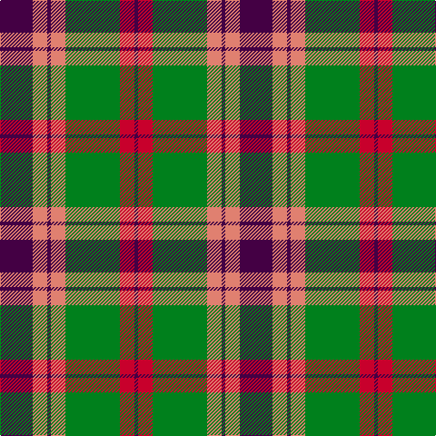 Tartan detail