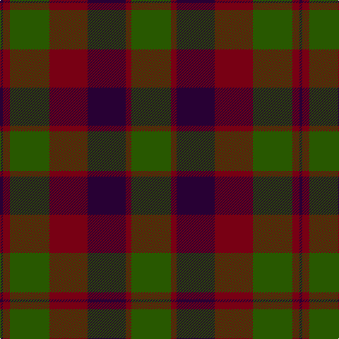 DP/4 DR10 G56 DR54 DP54 DR8 G/56 tartan Tartan detail