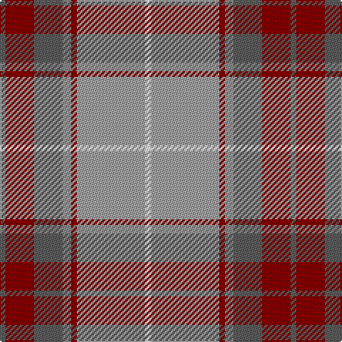 Na/4 DR20 Na20 N6 DR4 Nb48 W/4 tartan Tartan detail
