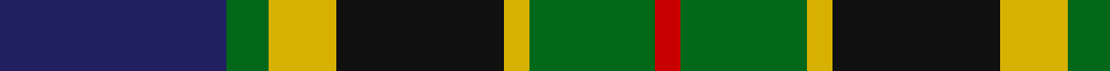 Nelson Mandela (Personal) example sett